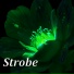 Sterge