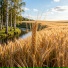 Найля Мухамеджанова