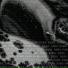 Venus88
