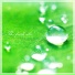 Mint Candy