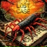 Lost Case