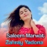Saleem Marwat