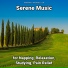 Soothing Music, Relaxing Music, Yoga
