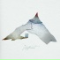 Marius Bajog, Stefan Oberle, Kontinent-Ensemble