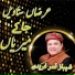 Shahbaz Qamar Fareedi