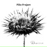 Pillo Project