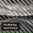 The Blind Boy