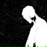Venus88