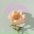 Pink Peony