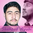 Shehzad Ayubi