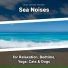 New Age, Ocean Sounds, Nature Sounds