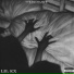 Lil Ex