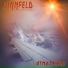 Sinnfeld