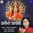 Rabindra Mohapatra