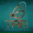 TAB