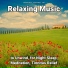 Meditation Music, Relaxing Music, Yoga