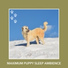 Relaxing Dog Music