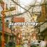 Scarlet Fvnky