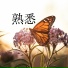 范显