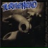 Turtlehead