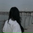 risii