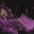 PLAYAPARIS, YUNGSKR33L