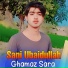 Sani Ubaidullah