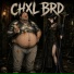 CHXL BRD