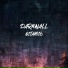 Darkwall