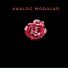 Analogmodular