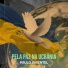 Paulo Pimentel
