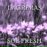 Soe Fresh