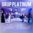 Grup Platinum