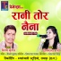 Vinay Kumar, Deepmala Sharma