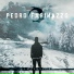 Pedro Farinazzo