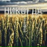 СтаRоста