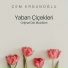 Cem Ergunoğlu