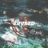 ERVSED