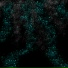 Lifeform
