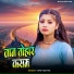Vipin Vinayak