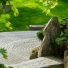 Lotus Bloom Garden