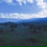 Oslo Green