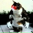 m1rax