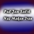 Pul Jan Salih