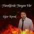 Uğur Toprak
