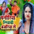 Anshika Kushwaha, Raju Yadav feat. Muskan