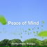 Relaxing BGM Project