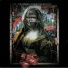 Cage Targaryen, So=Cal
