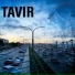 TAVIR