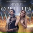 Денис Варфоломеев